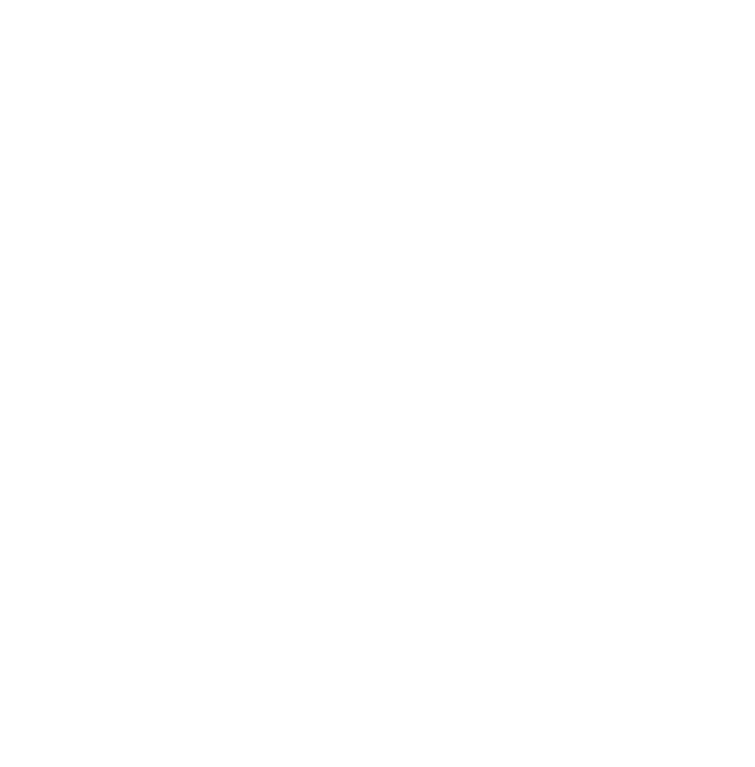 Romanian Orthodox Youth of the Americas